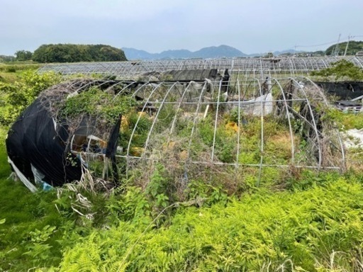 パイプハウス 1棟 単棟ハウス 農家 農業