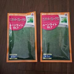 (お渡し先決定しました)芝の種・品種ムーンライトSLT