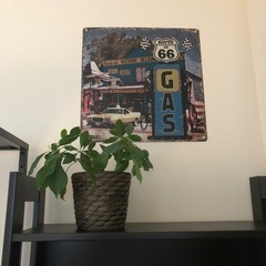 IKEA 観葉植物