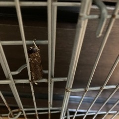 イージーホーム　ゲージの画像