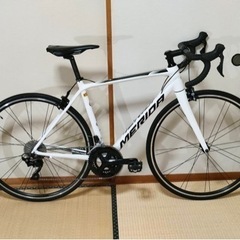 大幅値下げ！新品同様！MERIDA SUCLTURA  400   2019モデル、S(50㎝)サイズ、11-34T 11速、ホワイトの画像