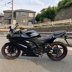 ニンジャ250 美綺麗　不具合なし　自宅配送可能の画像