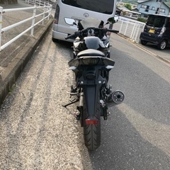 ニンジャ250 美綺麗　不具合なし　自宅配送可能の画像