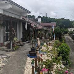 古民家で観葉植物を販売してます。（駄菓子屋）もやってます。の画像