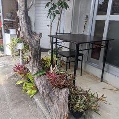 古民家で観葉植物を販売してます。（駄菓子屋）もやってます。の画像