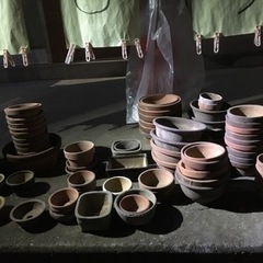 ミニ盆栽用 植木鉢🌲不用品他 差し上げます の画像