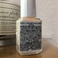未開封日本撤退essieネイル人気カラー2本setの画像