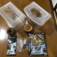 取引中【使用済】【つくば市で引き取りのみ対応】カブトムシ、クワガ...