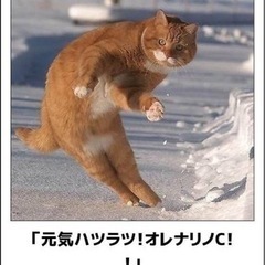†お茶かランチしませんか？†20220520