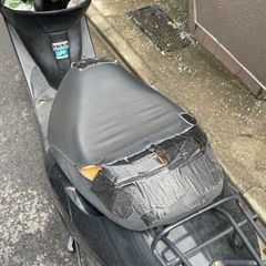 Honda Dioの画像