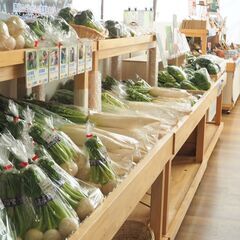 ★道の駅「いちかわ」で一緒に楽しく働きませんか？【市川・松戸】の画像