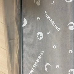 ビーズクッション　theralineの画像