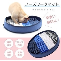 ノーズワーク