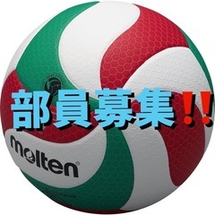 茨木市で9人制バレー　部員募集しています➰🏐
