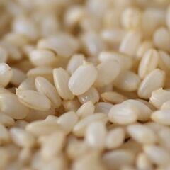 自家製発芽玄米お譲りします🌾