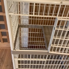 猫　ゲージ　プラゲージ　ハンモック付きの画像