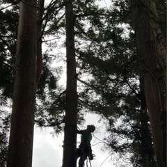 長野県東御市で便利屋やってます！