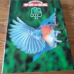 学研の図鑑　鳥