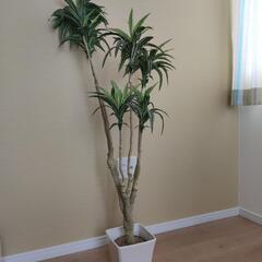 フェイクグリーン　観葉植物