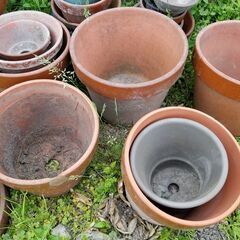植木鉢数点の画像