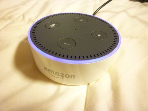 Amazon Echo Dot アマゾン エコードット 第2世代 RS03QR スマートスピーカー Alexa アレクサ中古