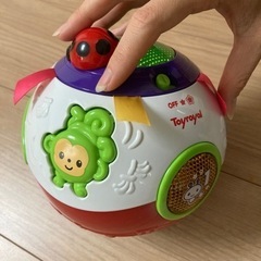 おいかけてコロコロボールの画像