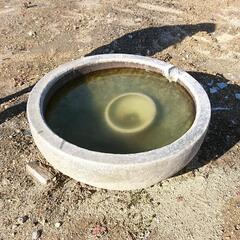 (決まりました)丸い石碑差し上げます