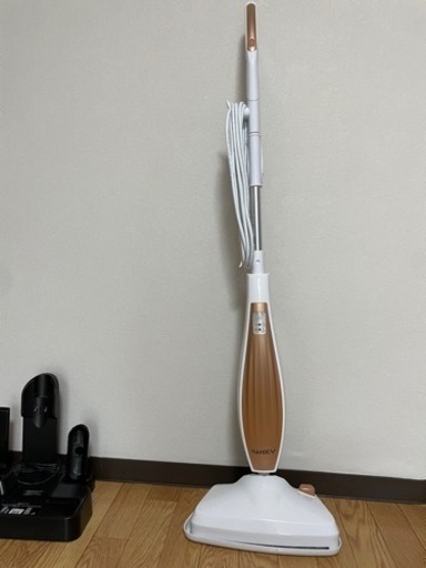 iwoly スチームモップ