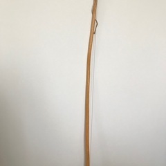 カポエイラ　ビリンバウ