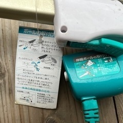 ガーデンバリカンの画像