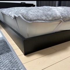 ローベットセットの画像