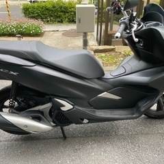 値段未定pcx 125cc 自賠責保険R8年3月　1番人気のマッ...