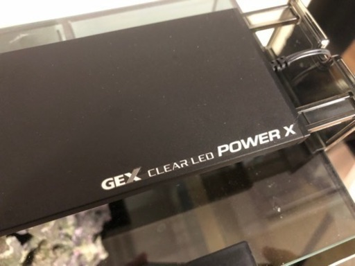 GEX 水槽 アグス 45cm オーバーフロー  GEX 水槽台 セット　特注 ライブロック レプリカ おまけ