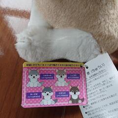 ぬいぐるみ   オオカミの画像