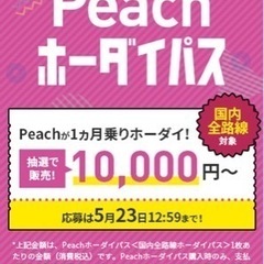 【2022/06】Peachホーダイパスに当選したら国内旅行