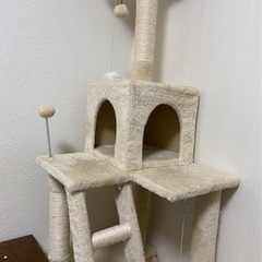 決まりました！キャットタワー中古、藁の家中古