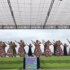 フラダンス　山科で楽しくハワイ直伝のフラを♪の画像