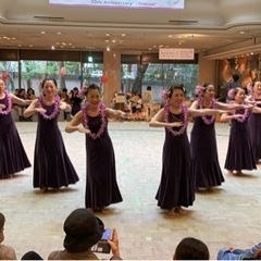 フラダンス　山科で楽しくハワイ直伝のフラを♪