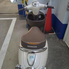 原付50ccホンダジョルノ 稼働絶好調!!の画像