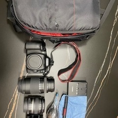最終値下げ【レンズセット】CANON EOS 80D