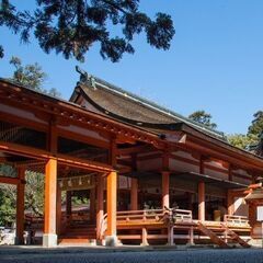 8月27・28日アデプトプログラム開催します。の画像