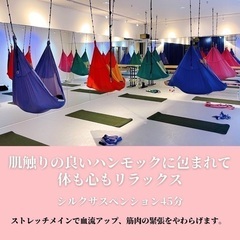 シルクサスペンションの画像