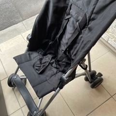 セカンドバギー COOL KIDS CKバギー ブラック  CKバギー 軽量モデル 背面 B型の画像