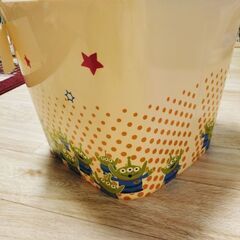 リトルグリーンメンバスケットの画像