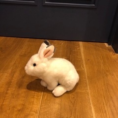 うさぎのお人形