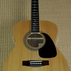 ギターになります。
