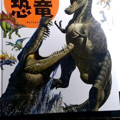 【取引中です】恐竜の図鑑　ＤＶＤ付