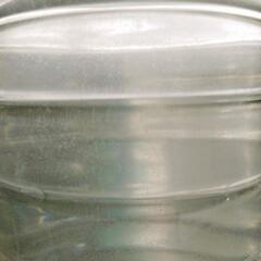 ゾウリムシ　500mlの画像