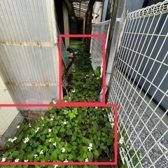 草刈りのお願いですの画像