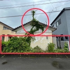 草刈りのお願いですの画像